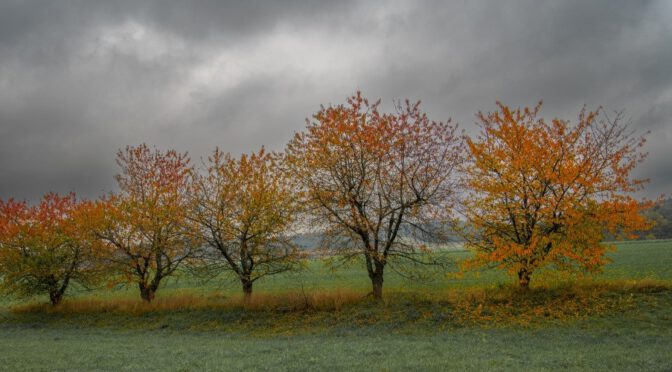 Herbst